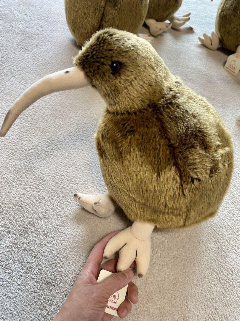 Amazon.co.jp: キウイ キーウィ バード kiwi ぬいぐるみ