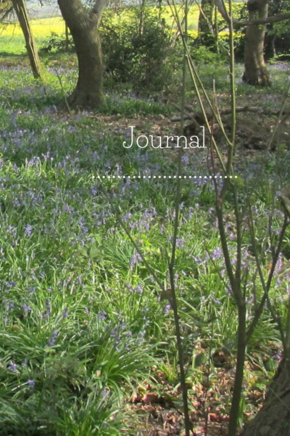Journal: Bluebell wood