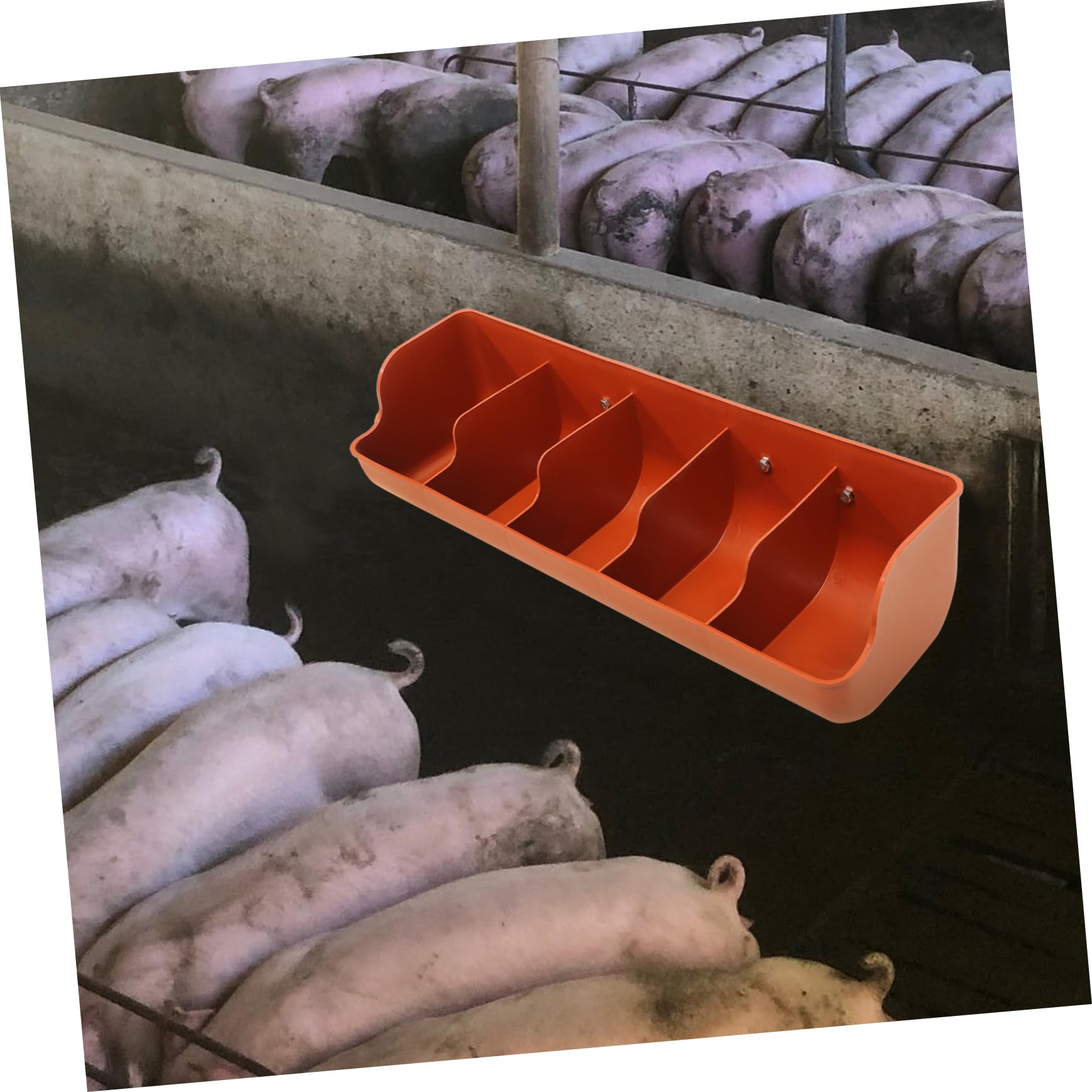 BESPORTBLE Trogolo Porcellino Salvadanaio Cavia Alimentatore Di Cibo Per Bestiame Mangiatoia Per Maiali Alimentatore Di Recinzione Con Clip Cacciatore Di Polli Galline Orange Plastica