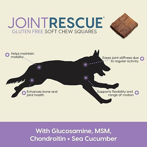 Vista 17 de Ark Naturals Joint Rescue - Masticable para perros, sabor a pollo, suplemento para articulaciones con glucosamina y condroitina, 1 paquete Marrón