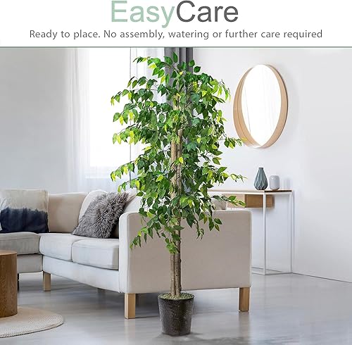 Miniatura 9 de Árbol de ficus artificial de 6 pies para interiores en maceta de plástico negro, planta falsa de casa y decoración del hogar para sala de estar,