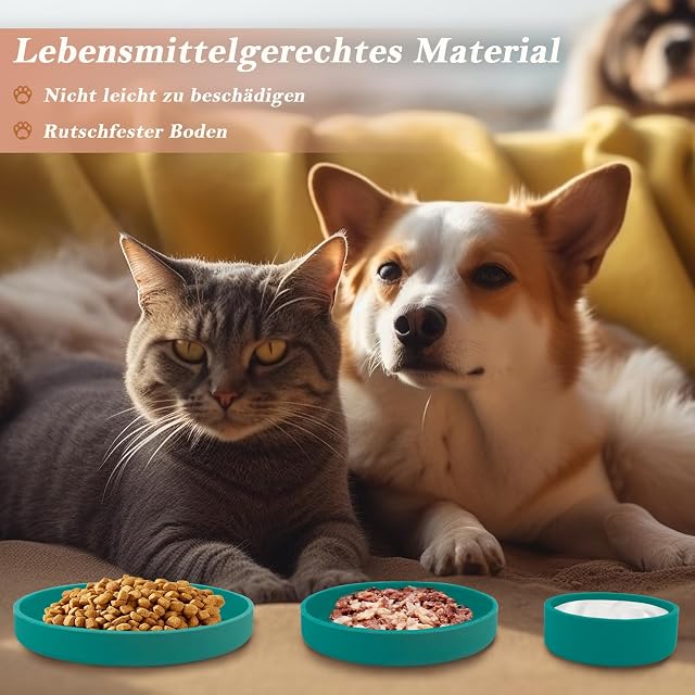 Foto 7 de 8 de Lollanda - Juego de 3 comederos para gatos, cuenco de silicona ovalado, cuenco de silicona ancho para comida…