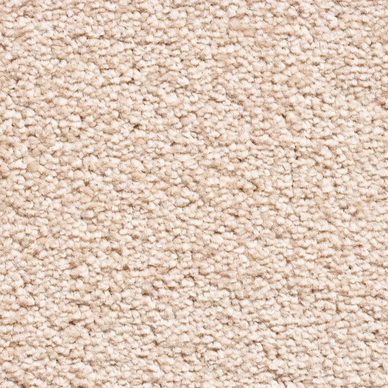 Tuda Carpet | Serene 10mm Pile Saxony Carpet with Action Backing, 12mm Total Height | Beige Shine (191) - 4m x 5m (13ft1" x 16ft4") โ image 1