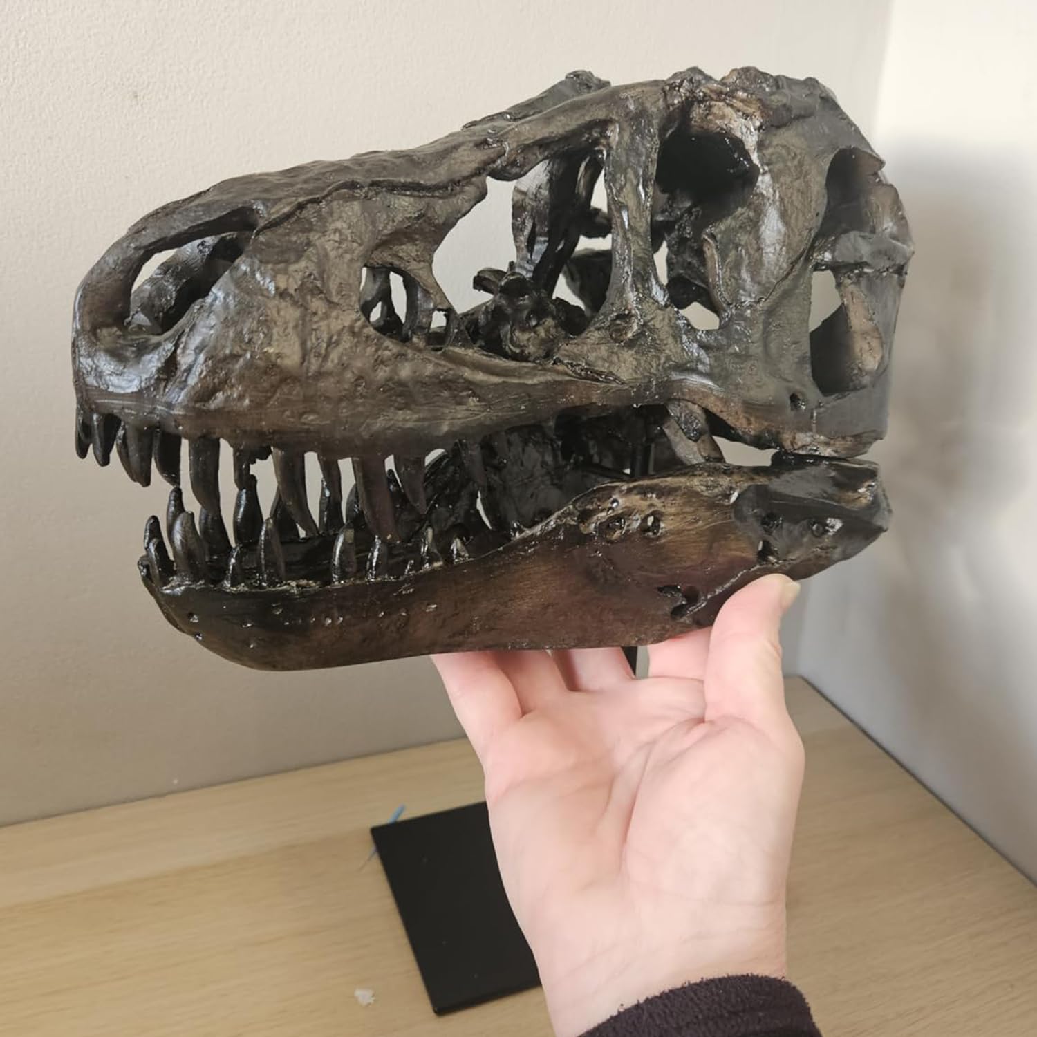 Statue de crâne de Sculptures de Dinosaures avec Support Réplique de crâne de tyrannosaure Décoration Réplique de crâne et d'os en résine avec Support pour la Maison, Le Bureau.