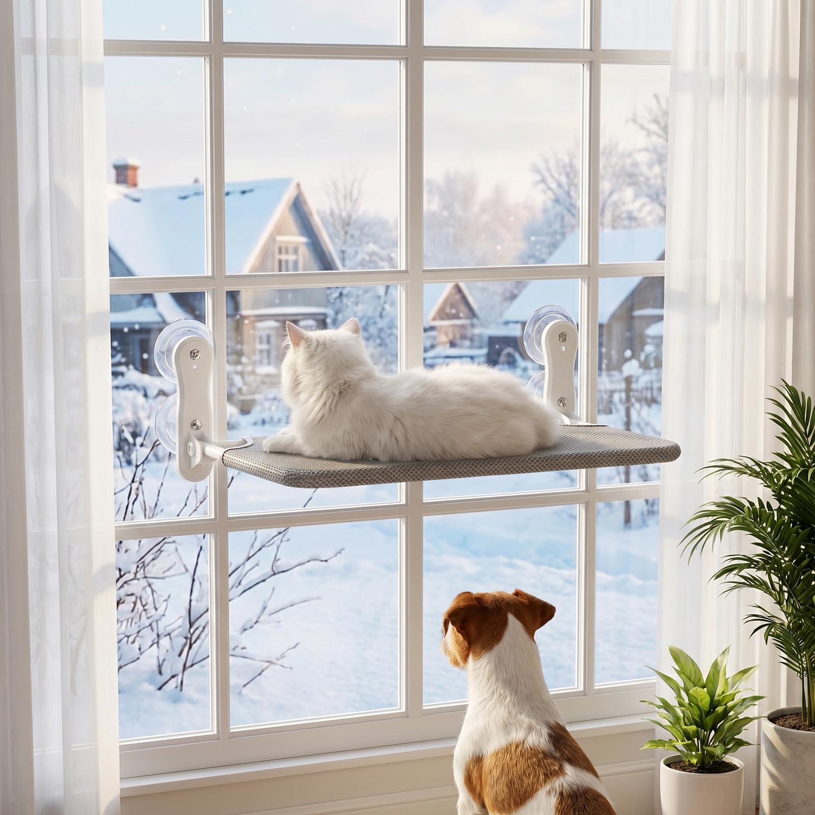Kätzchen hängematte,fensterliegeplatz für Katzen mit Stabil Saugnäpfe,Katzenhängebett Fenster, Belast Gewicht zu 25KG 52.2 * 39cm(Grau)