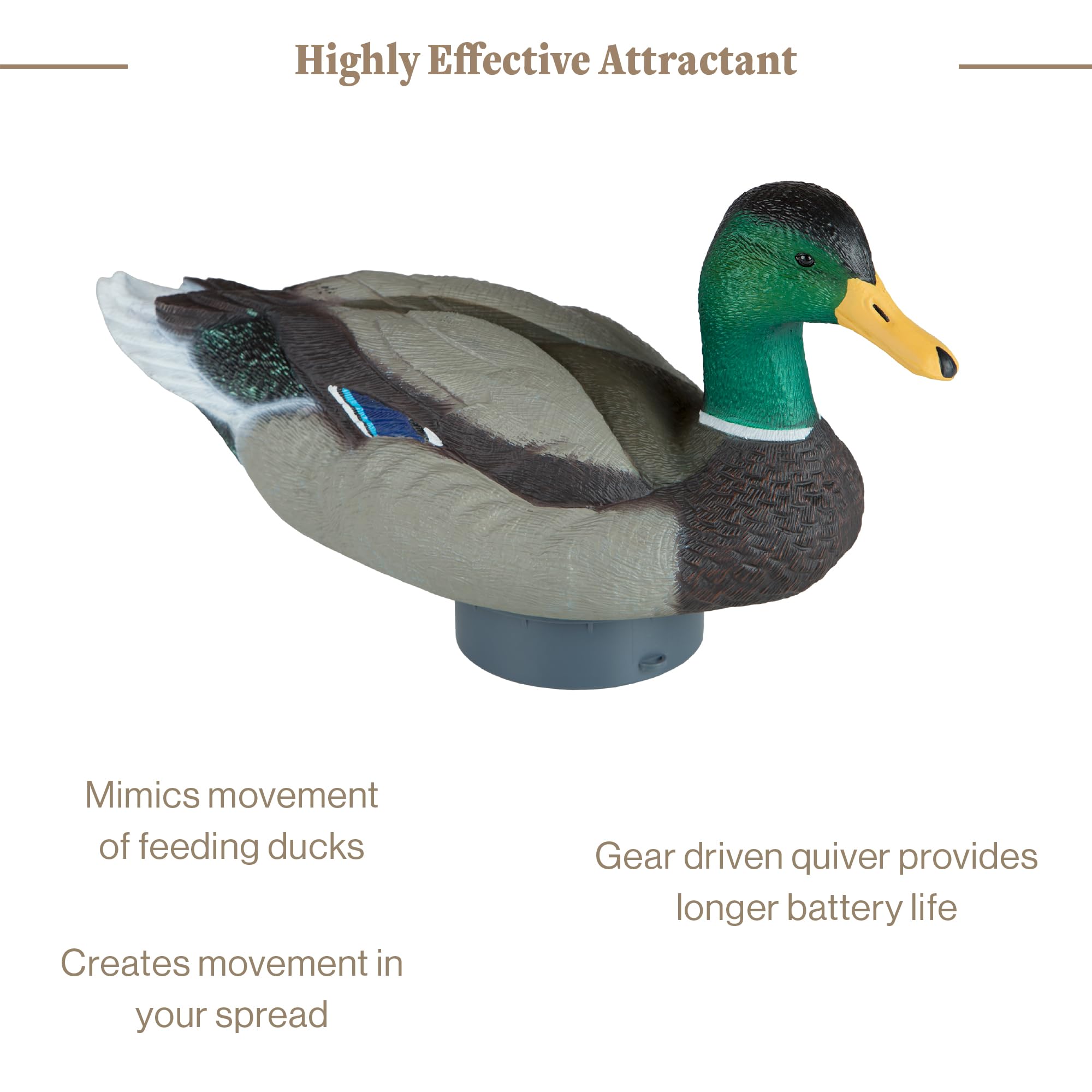 Lucky Duck - Faretra Anatra HD