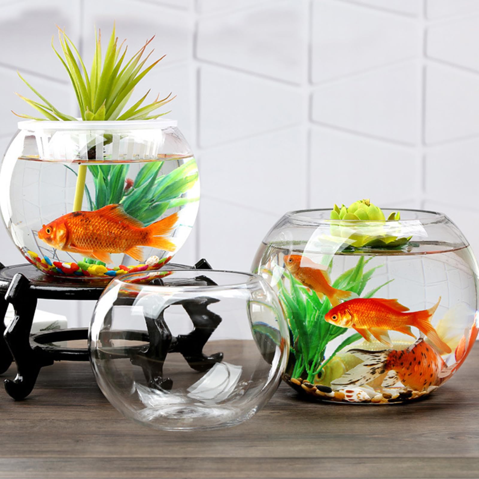 金魚鉢　メダカ鉢 Amazon | 金魚鉢 水槽 丸型金魚鉢 透明ガラス水槽 金魚水槽 水培