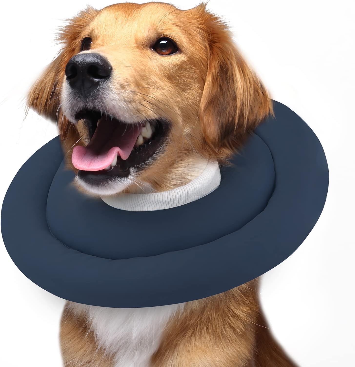 KONG EZ Soft Collar Pet Injury, Rash and Post Surgery