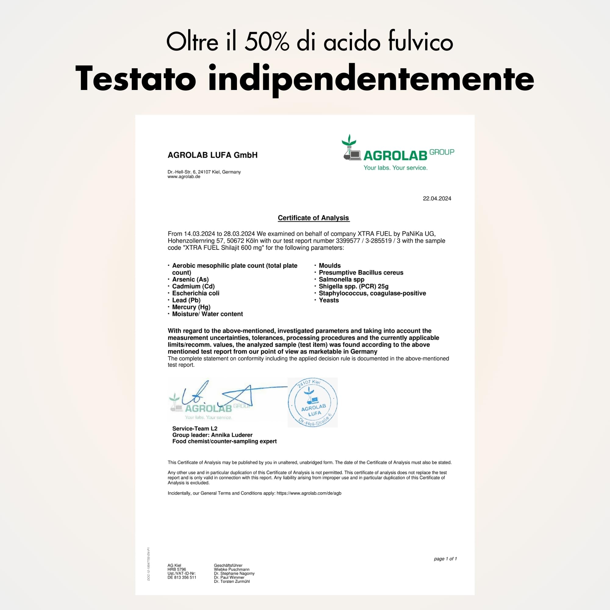 Resina Shilajit originale - Mumijo Shilajit dell'Himalaya puro al 100% (ad alto dosaggio), 600 mg per dose giornaliera, ricco di acido fulvico e umico, oltre 85 minerali - 90 g