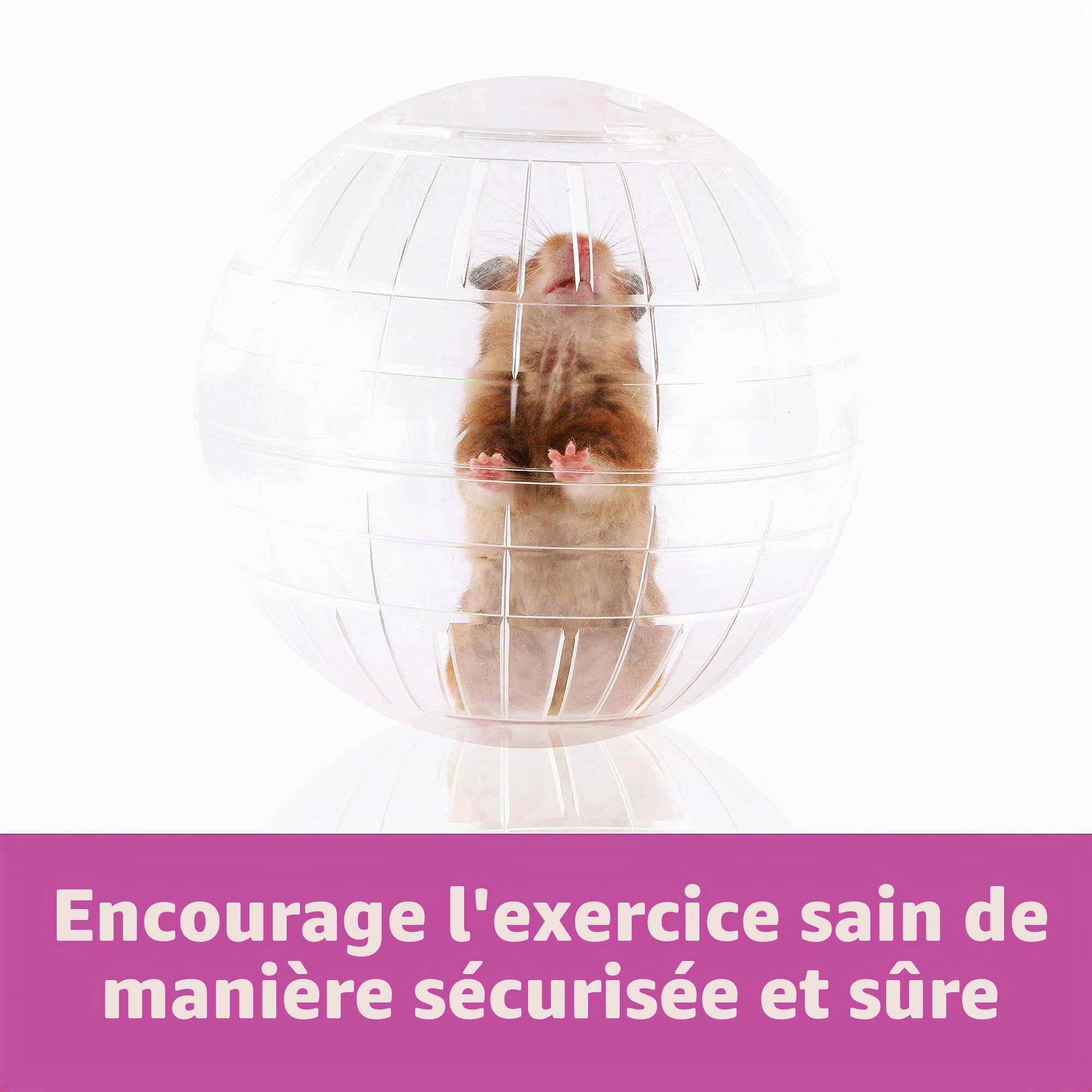 Kaytee , Run About Ball, couleur claire, balle d'exercice et jouets pour hamsters, gerbilles et autres petits animaux, 17.8cm de diamètre