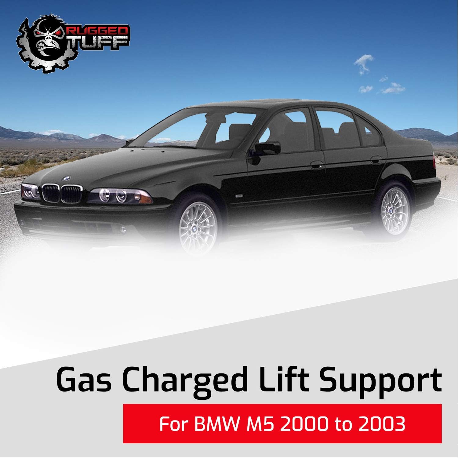 Lift Support Shocks Struts for 1997-2006 BMW 525i 528i 530i 540i M5 5-Series E39 Rear Trunk Lid Gate Gas Springs Arms Pair SG301017 SG402050 51248222913 (2 Qty)