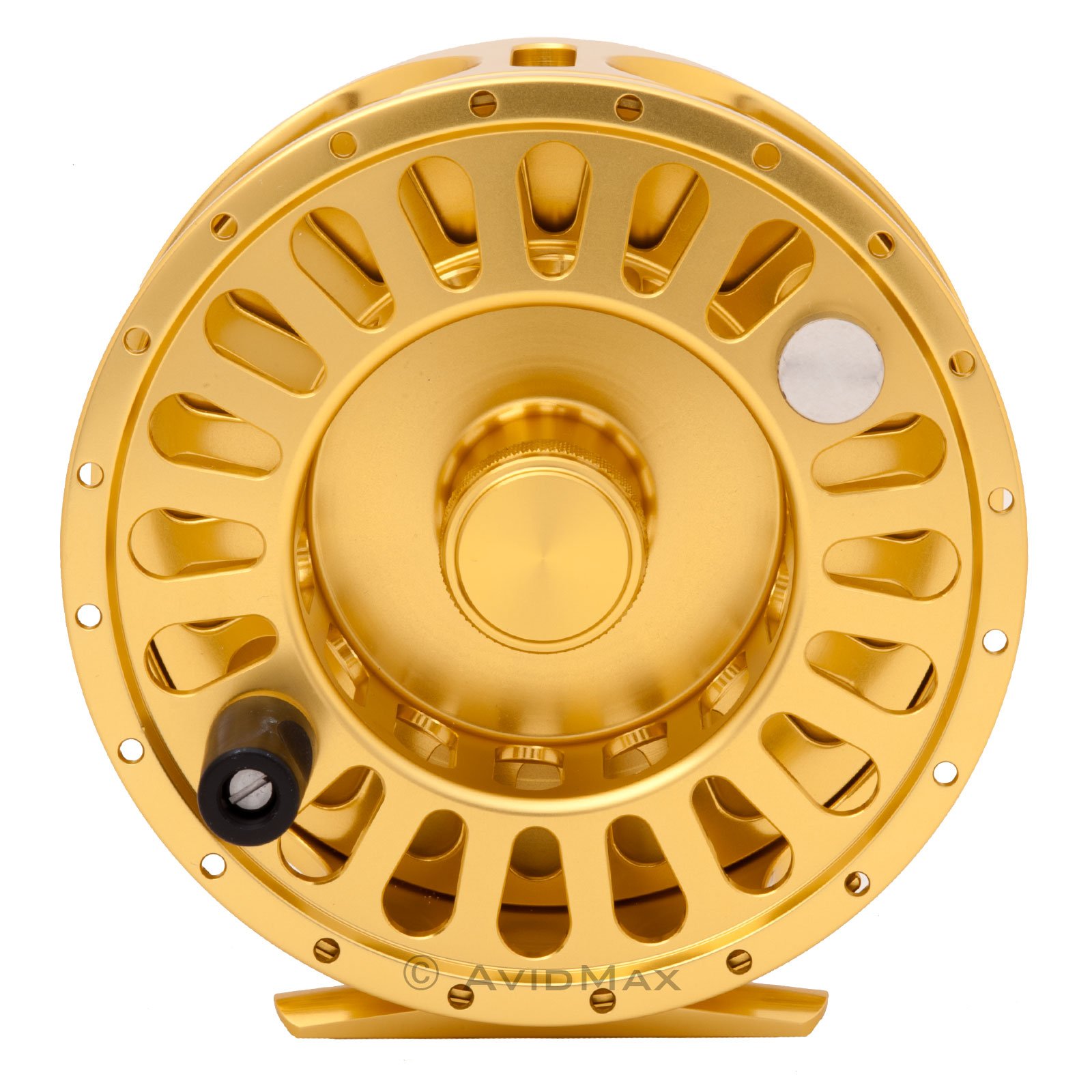 Temple Fork Outfitters Large Arbor Fly Reels Model: TFR 375 Gold : Fly Fishing Reels : Sports & Outdoors