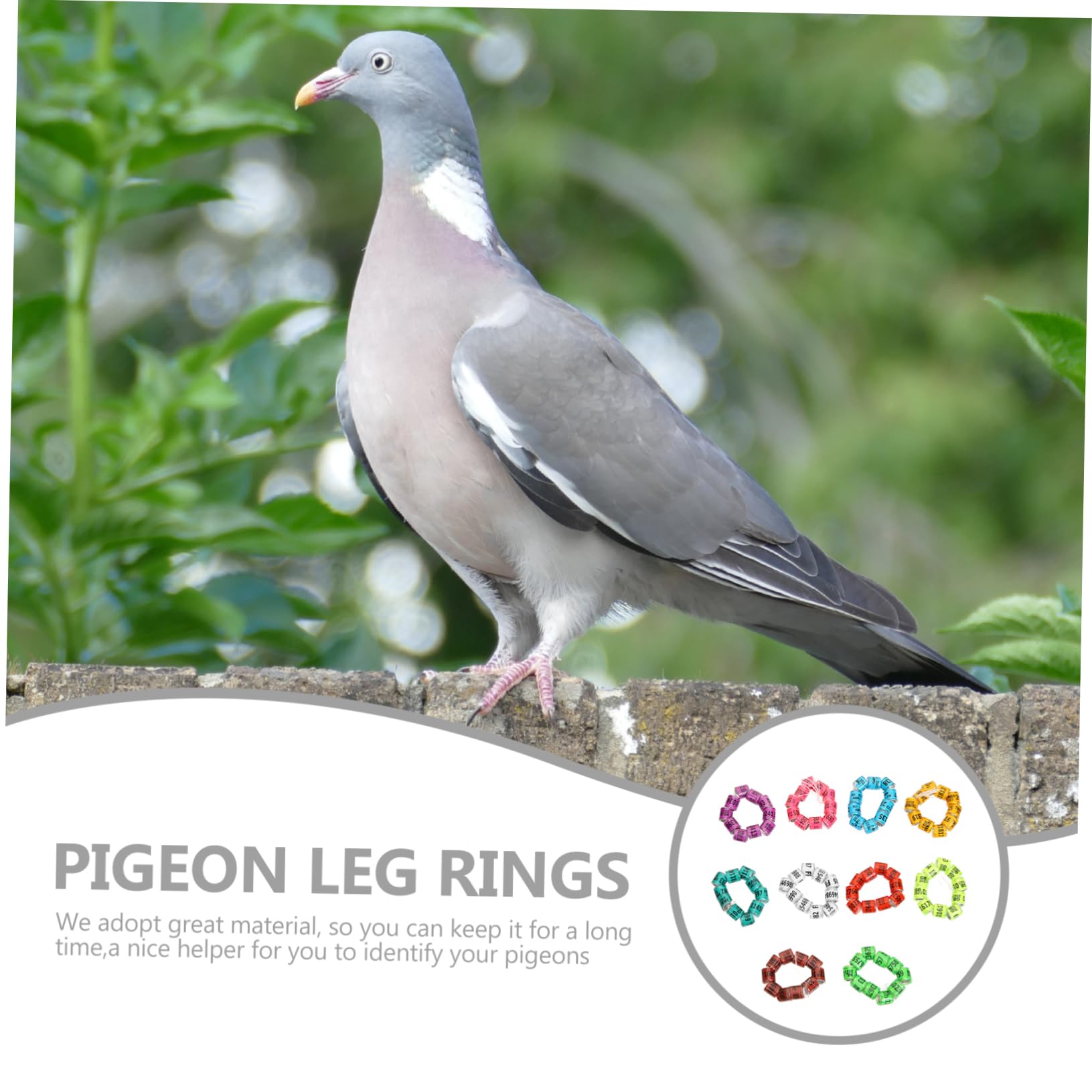 DOITOOL 400pezzi Anelli per Gambe di Piccione Fasce di Identificazione per Piccioni da Corsa Anelli Colorati per Uccelli Leggeri e Pratici Adatti per Pappagalli e Altri Volatili