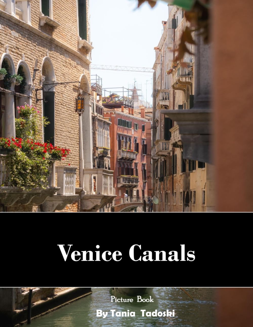 venice canals: Venice Canals: Gondolas, Bridges, Grand Canal, Floating City and More