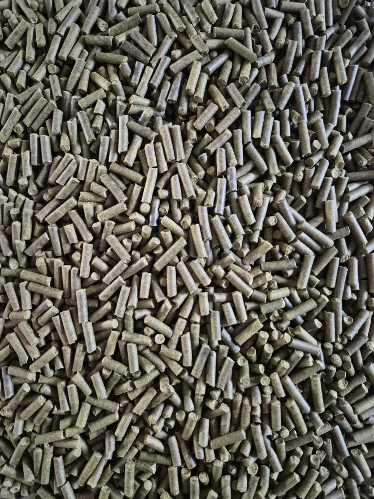 Spinat Pellets 4 mm – 100% getrockneter Spinat | Naturfutter für Garnelen, Krebse, Schnecken & pflanzenfressende Welse | Ohne Zusatzstoffe 2500Gr