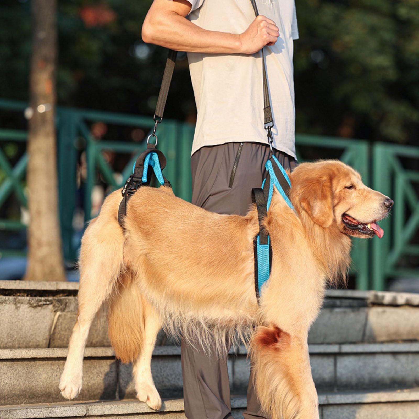 Cinturón cómodo de instalación rápida para perros ancianos, equipo de caminar al aire libre, arnés para perros mayores
