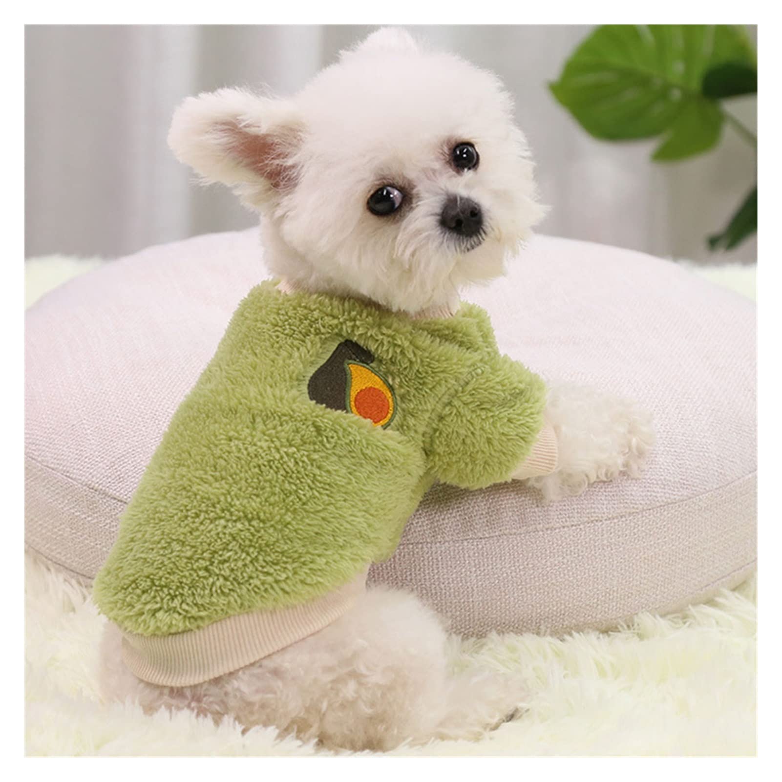 Polaire pour petit chien vert M : vêtement d'hiver chaud et isolant