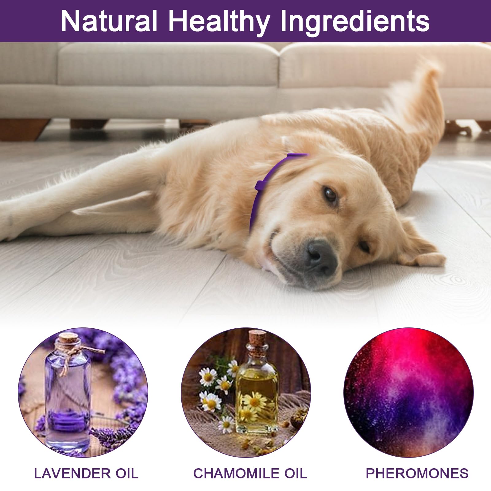 Kyaoayo Calming Collar for Dogs Pheromone Soothing Collar for Anxiety Stress Adjustable Size, Safe and Effective (Purple) - Image 2