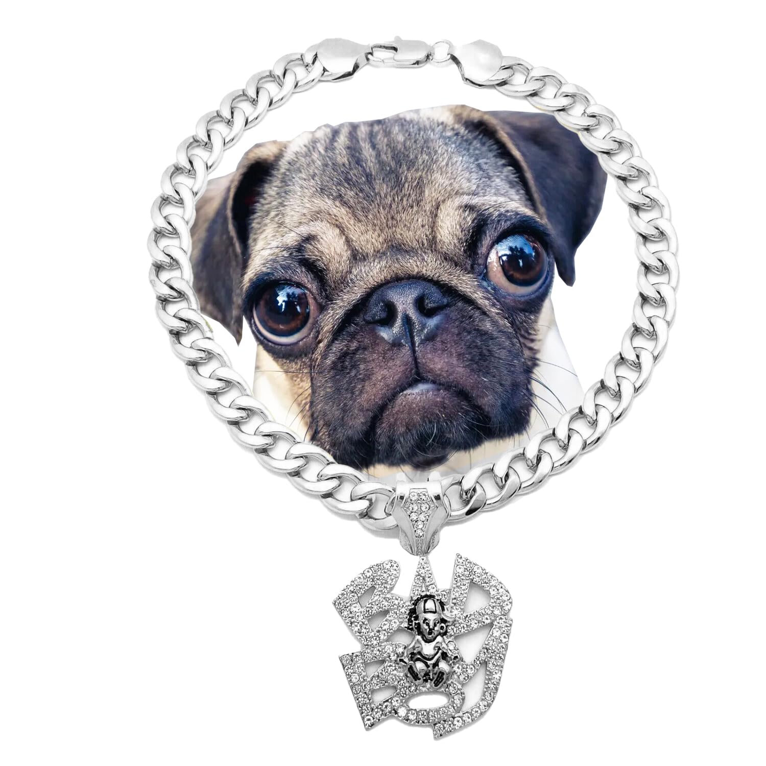 MAXBLING81 BAD BOY Dog Chain Collar Dog Collar Dog Necklace Metal Cat Cuban Chain Pet Jewelry Accessories for Small Medium Large Dogs Cats (14 Inch, SILVER)