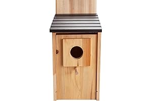 Cedar Blue Bird Box House: A Place of Comfort