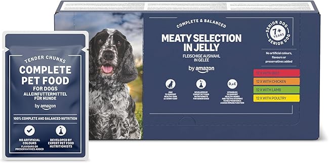 Alimento Completo Para Perros Senior