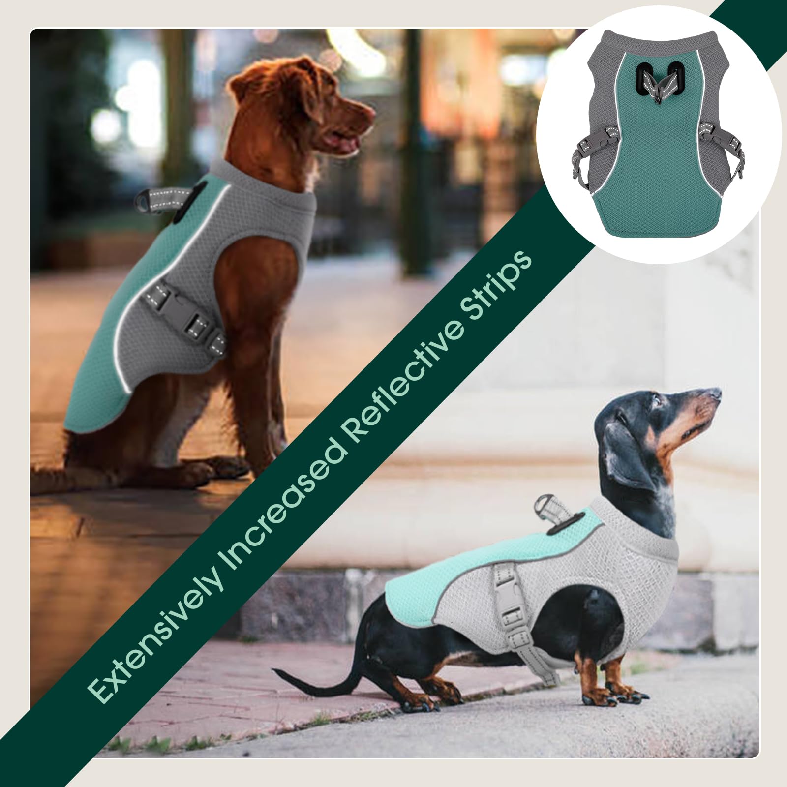 hondenkoelvest voor de zomer, ijskoeljas voor honden, hondenkoeljas