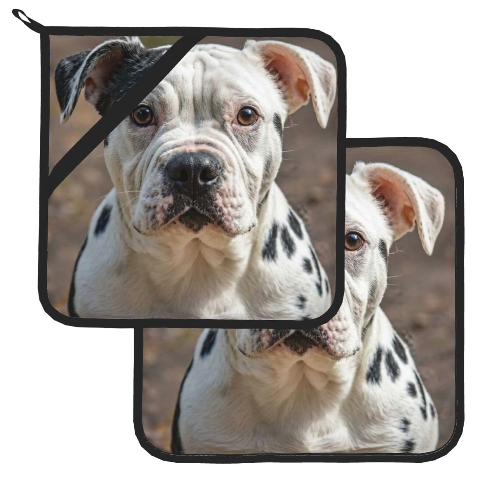Pot Holder Set of 2 Heat Resistant Potholders Cute Dalmatian Pot Holders Non Slip Kitchen Trivets Cooking Hot Potholder Washable Oven Mitts Oven Hot Pads for Kitchen Baking BBQ