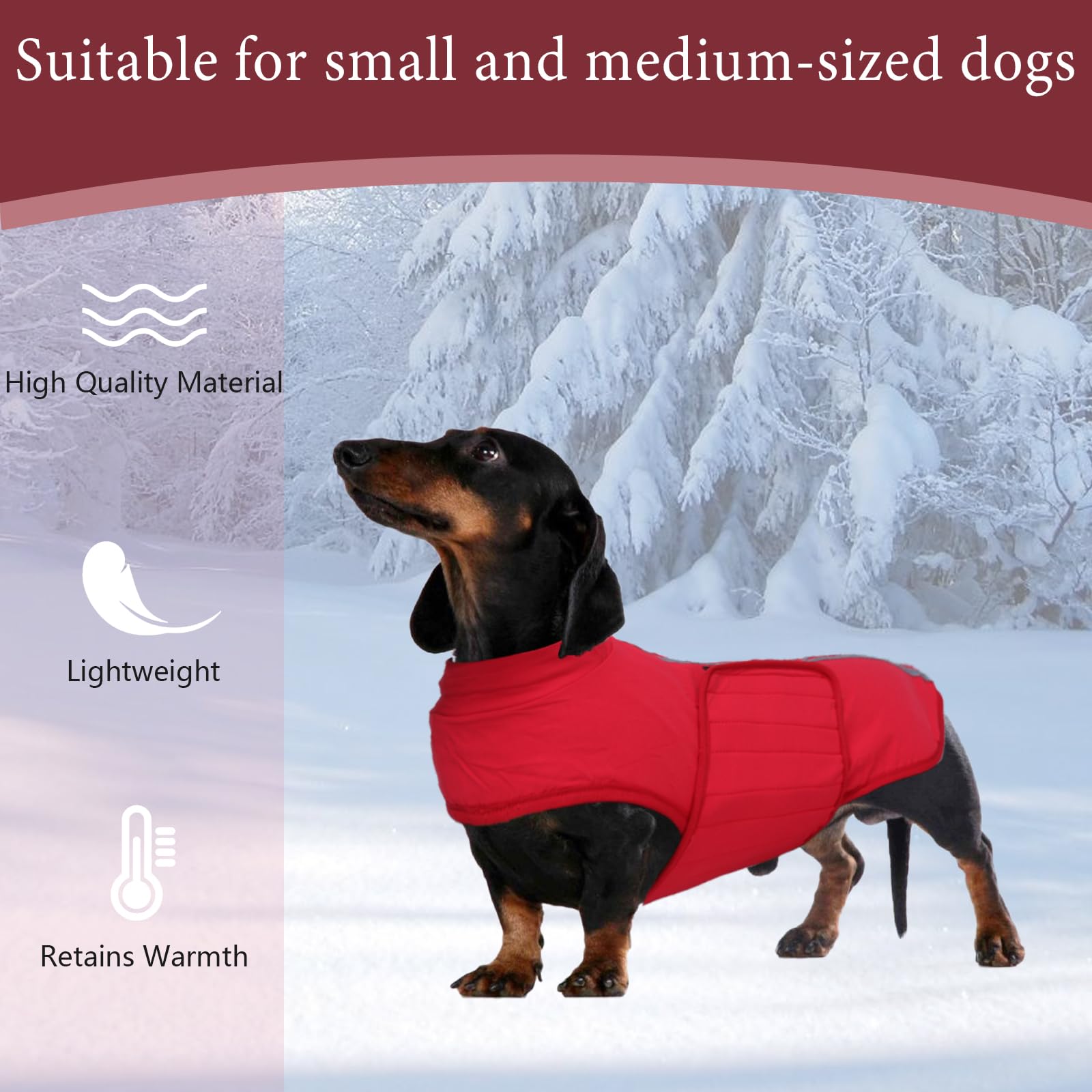 babepet Dachshund Coat Waterproof,Warm Coats & Jackets for Dogs,Miniature Dachshund Jumper,Reflective Small Dog Coat,Ideal for Outdoor&Indoor-Red-S - Image 4