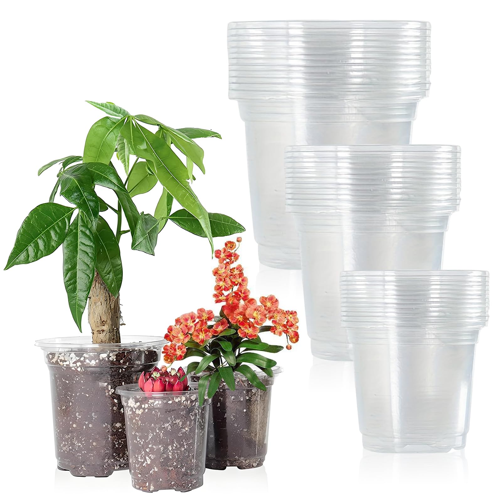 XMDROU Plastic Plant Pots, 36 Pcs Clear Flower Pot, 9CM /11CM /13CM Plastic Nursery Pots with Drainage Holes Garden Planters for Flower Plant Seedlings Transplanting (3 Size)