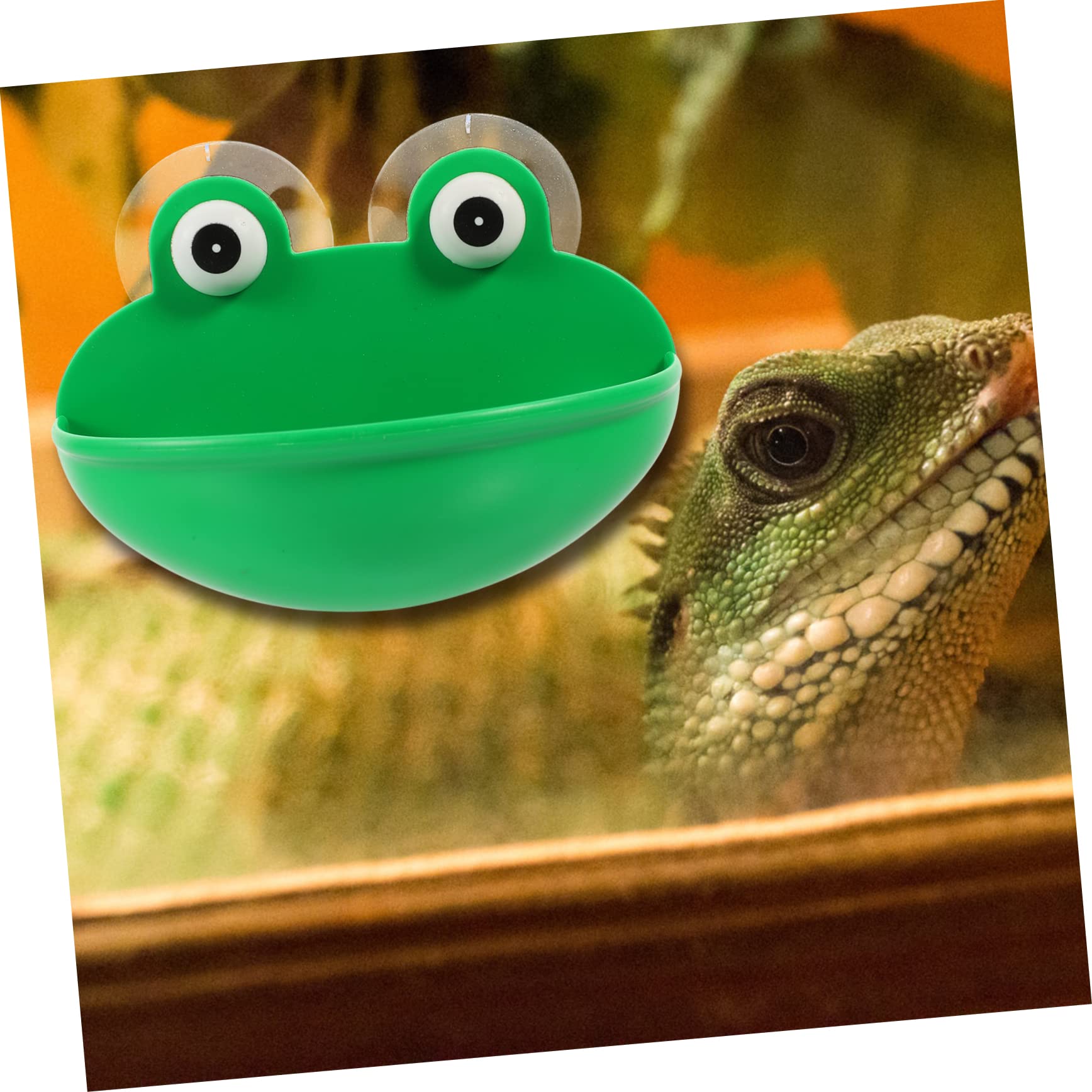 6stücke Reptilien Ruheplatz Und Spielbecken Für Terrarium Zubehör Für Frösche Und Geckos Naturnahe Gestaltung Für Haustiere