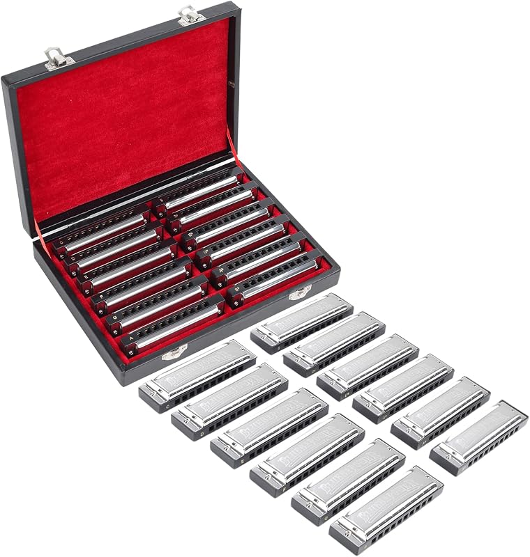 Blues Harmonica Set,10 Hole Diatonic Harmonica 7-Key/12 Keys Set, Resin Grid Anti Drop with High-end Case Gift for Professional Player, Beginner (Sliver 12 Keys set)