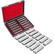 Blues Harmonica Set,10 Hole Diatonic Harmonica 7-Key/12 Keys Set, Resin Grid Anti Drop with High-end Case Gift for Professional Player, Beginner Sliver 12 Keys set