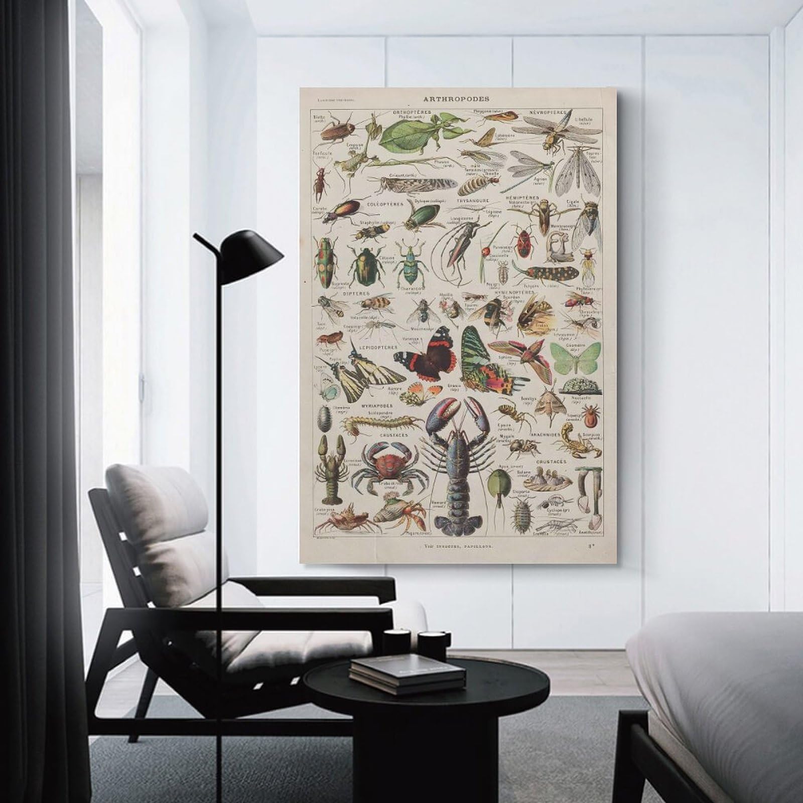 Junmoney Room Decor Wall Art Vintage Arthropods, 12x18inch(30x45cm), for Gallery Wall Decor And Room Displays, An Easy Match for Collected Prints