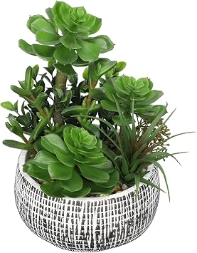 Villa Como 10 Large Succulents Plants Artificial in Ceramic Pots Potted Faux Succulent Arrangement with Black Bowl Pots Fake Desk Succulents Plants for Home Bathroom Shelf Table Indoor Decor