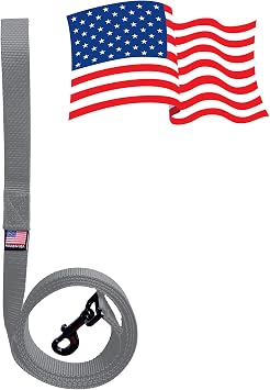 Enterprises Dog Leash Lead 6 Foot with Swivel Snap Bolt Made in The USA of 1" Polypro Heavy Weight Webbing 16 Colors Great Economical Animal Leash (Gray)
