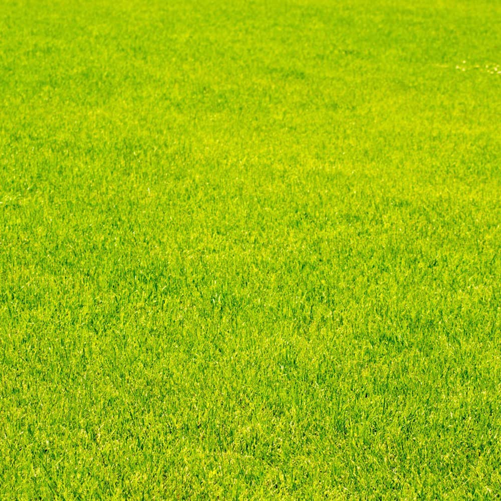Semillas De Césped GF GardenGrass - Resistente A La Sequía, Para Jardín, Disponible De 1kg A 30kg