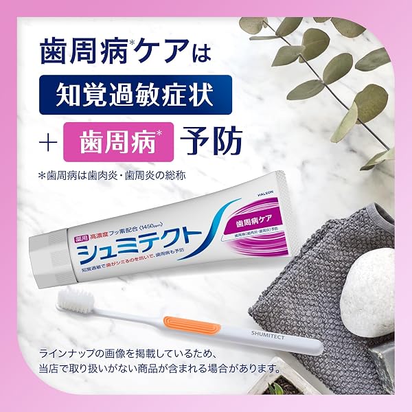 シュミテクト 歯周病ケア【医薬部外品】歯磨き粉 知覚過敏ケア 高濃度フッ素配合<1450ppm> 2本 - 2