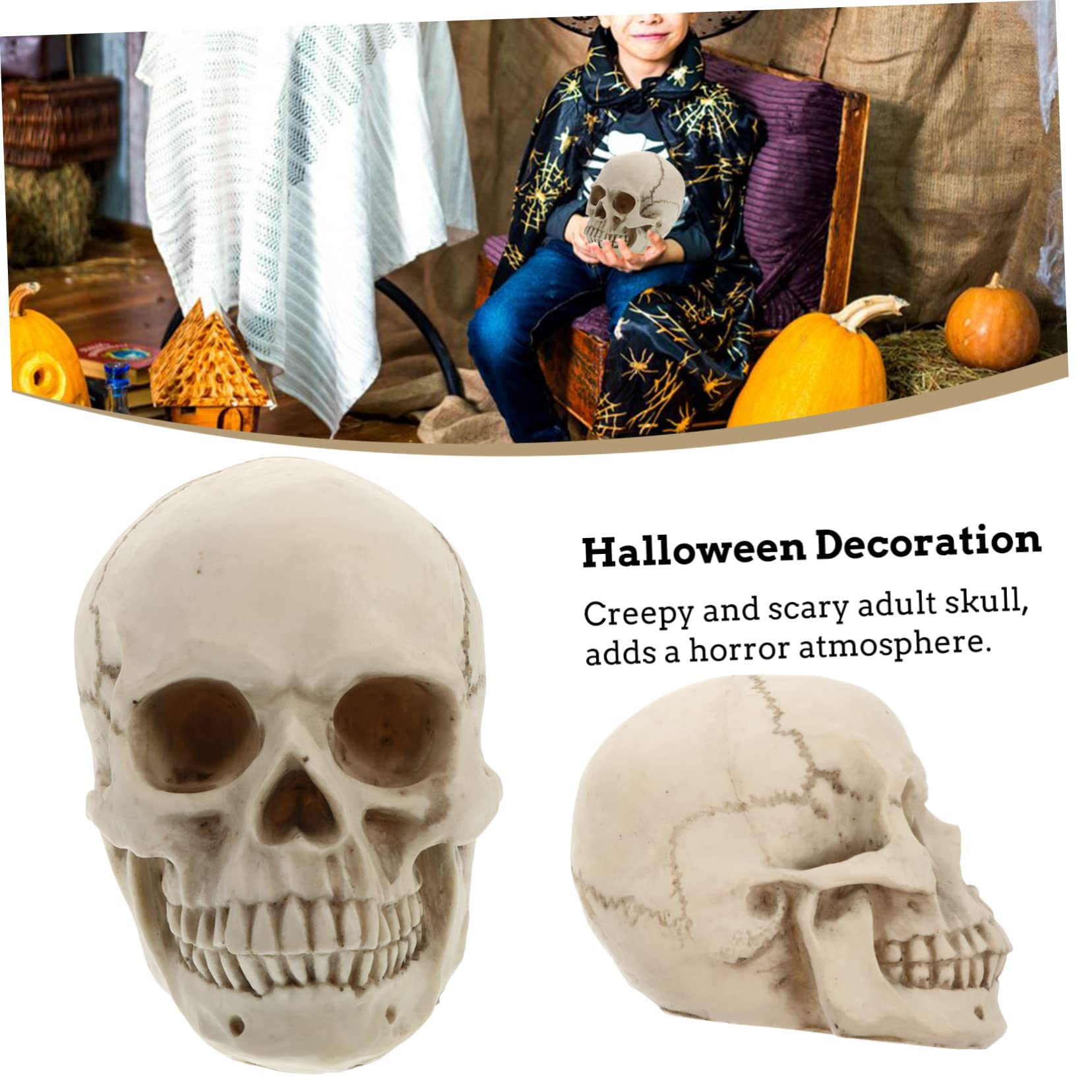 Estatua de Cráneo de Resina Modelo de Cráneo Humano para Decoración de Halloween Calavera de Resina para Halloween