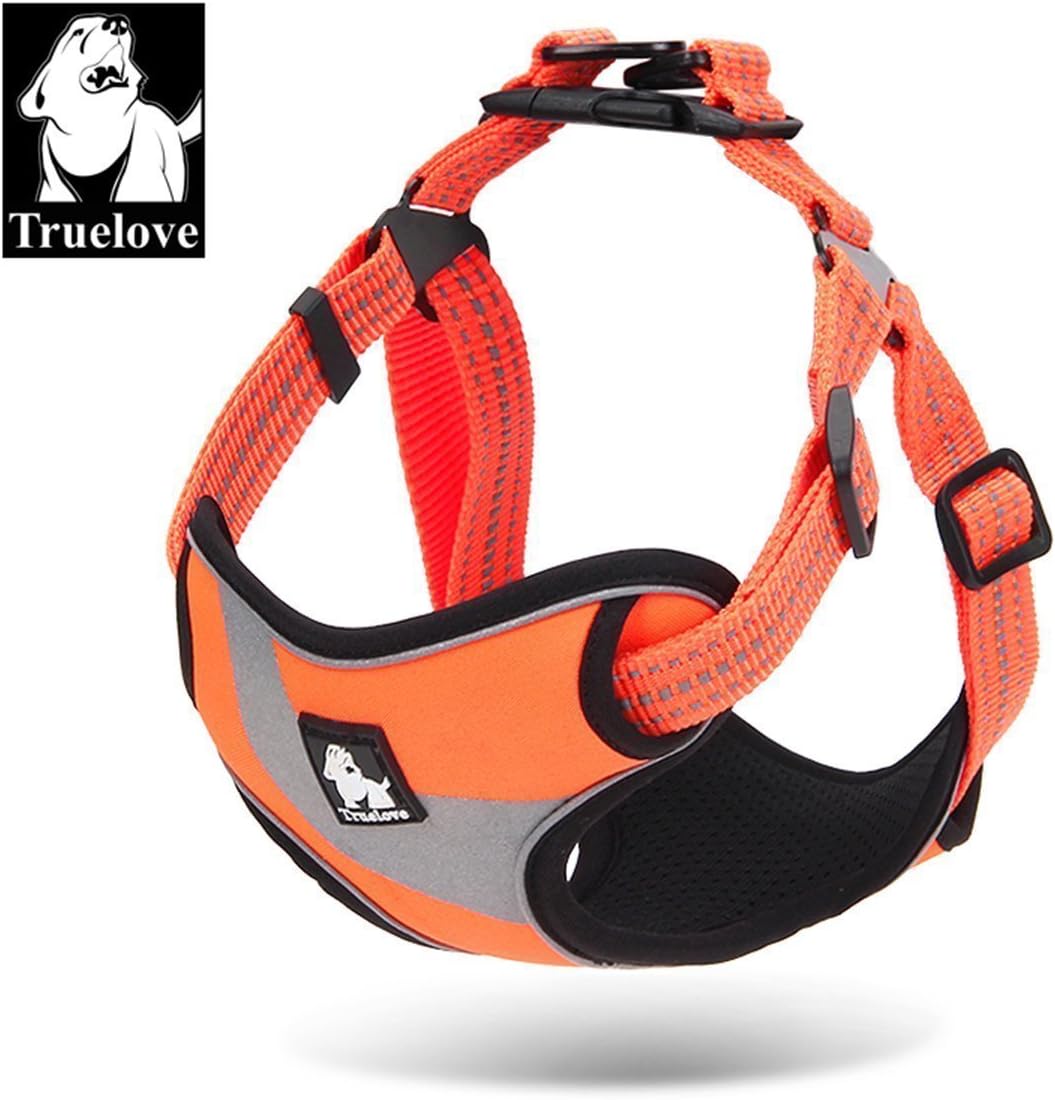 gilet di sicurezza per cani