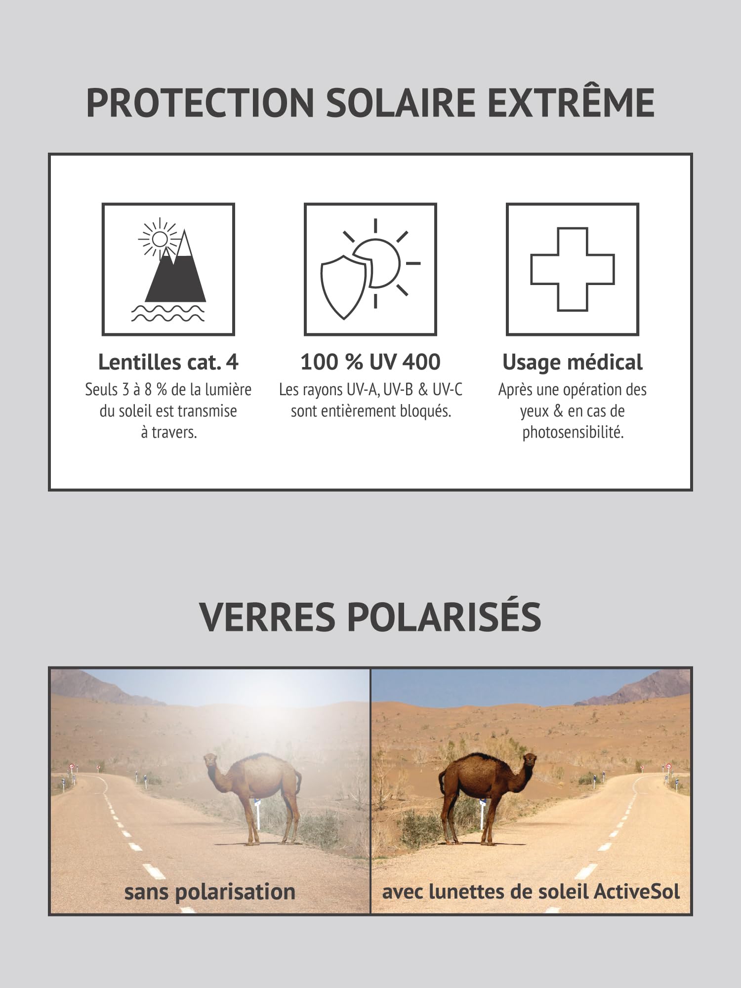 ActiveSol Lunettes de protection El Pavana - Extra foncées - Catégorie 4 - Pour porteurs de lunettes - Polarisées, Catégorie : 4 - Grises