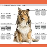 Vista 36 de Cuchillas de cerámica desmontables para perros y mascotas, compatible con Andis tamaño 5FC de 1/4 pulgadas de longitud de corte, compatible