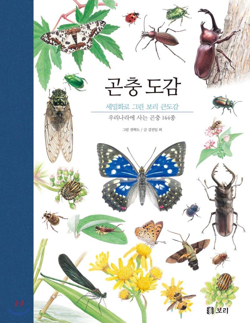 Insect Book (Korean Edition): Jin Il Kim: 9791163140276: Amazon.com: Books
