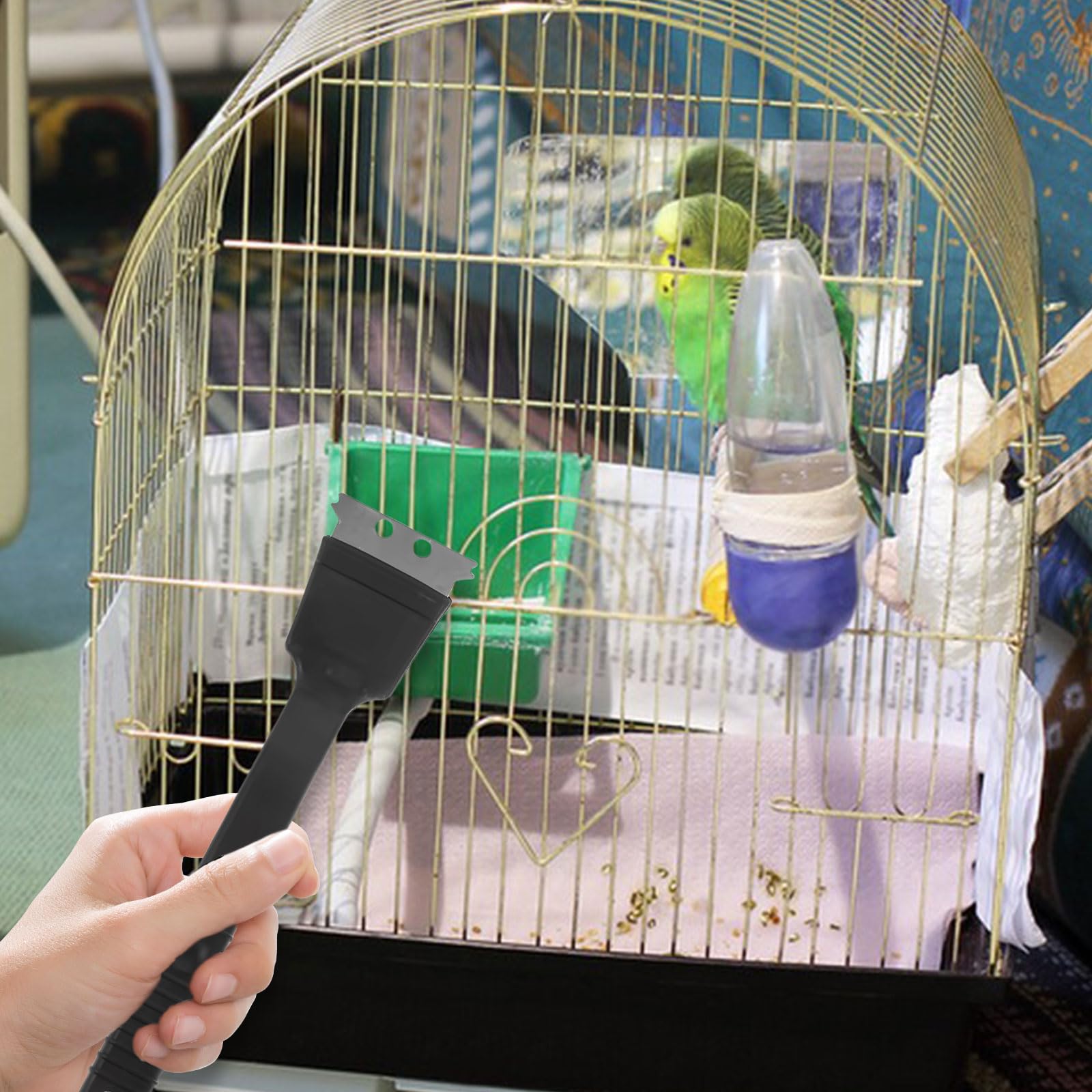 Spazzola per gabbia per uccelli, 1 spazzola per la pulizia degli escrementi di uccelli, con raschietto, manico lungo in acciaio inox, spazzola per la pulizia della gabbia degli uccelli, accessorio per