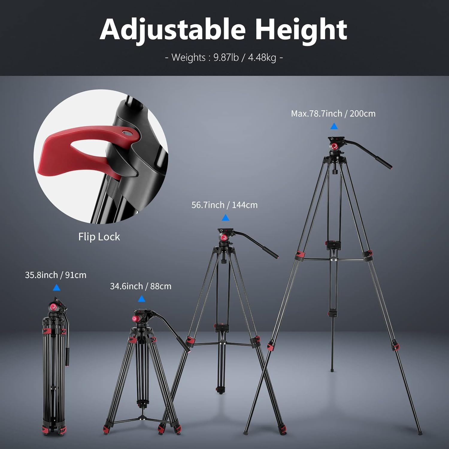 NEEWER 79”/200cm Video Tripod, Heavy Duty Aluminum Alloy Camera Tripod Stand with 360°Fluid Drag Head, QR Plate Compatible with Canon Nikon Sony and Other DSLR Camera Camcorder, Load Up to 17.6lb/8kg : Electronics