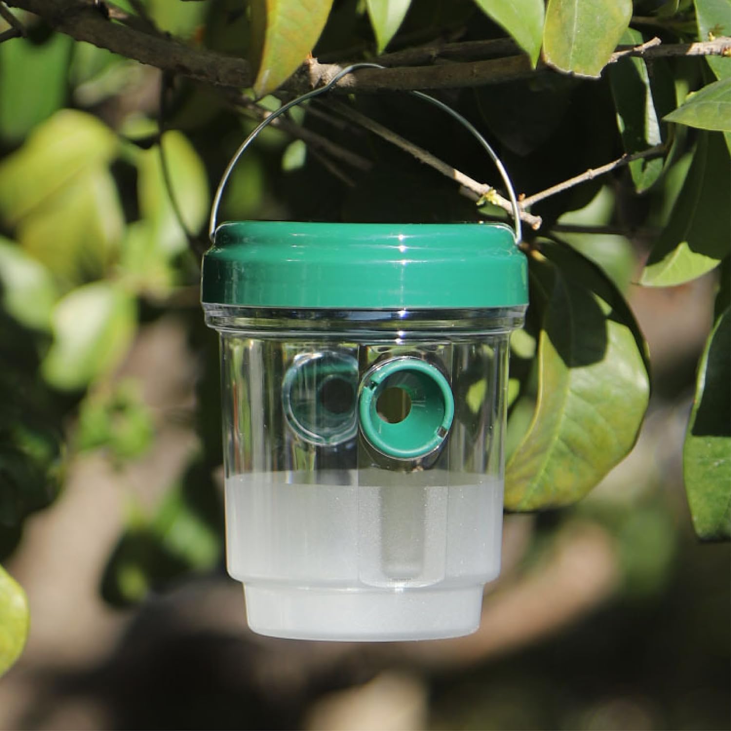 3 Piezas Trampa para Avispas Viva, Trampa Avispas Exterior Jardin Balcon, Trampa Avispa Exterior, Atrapador de Avispa para Jardín, Balcón y Camping, Sin Productos Químicos