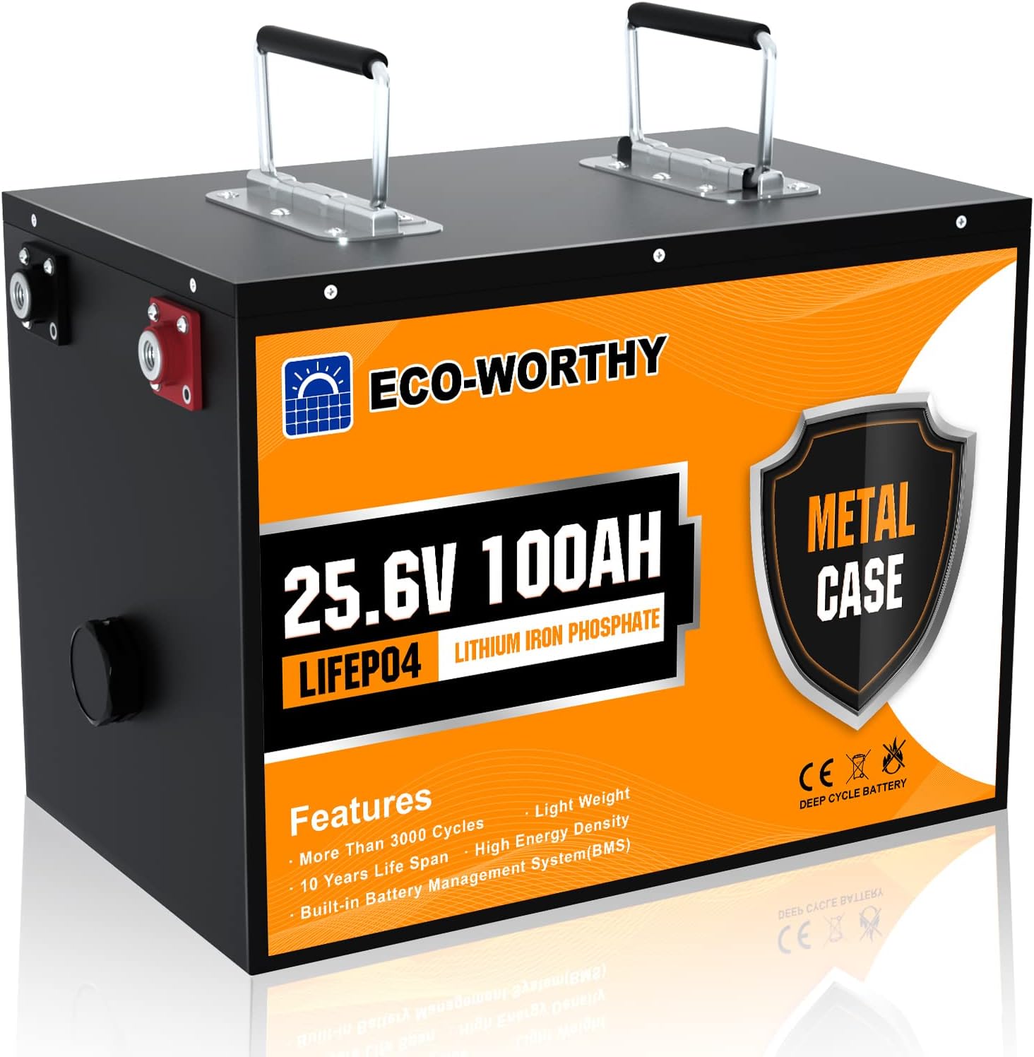 ECOWORTHY 24V 100Ah Batteria al Litio LiFePO4, Ricaricabile con 3000