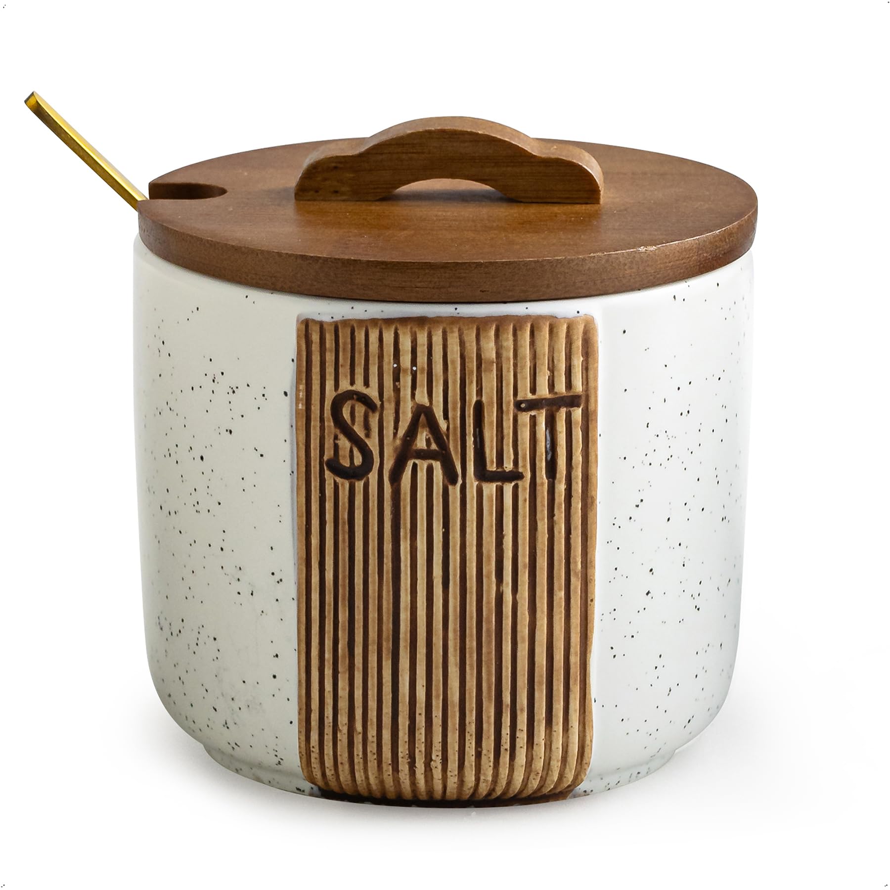 Ceramic Salt Container