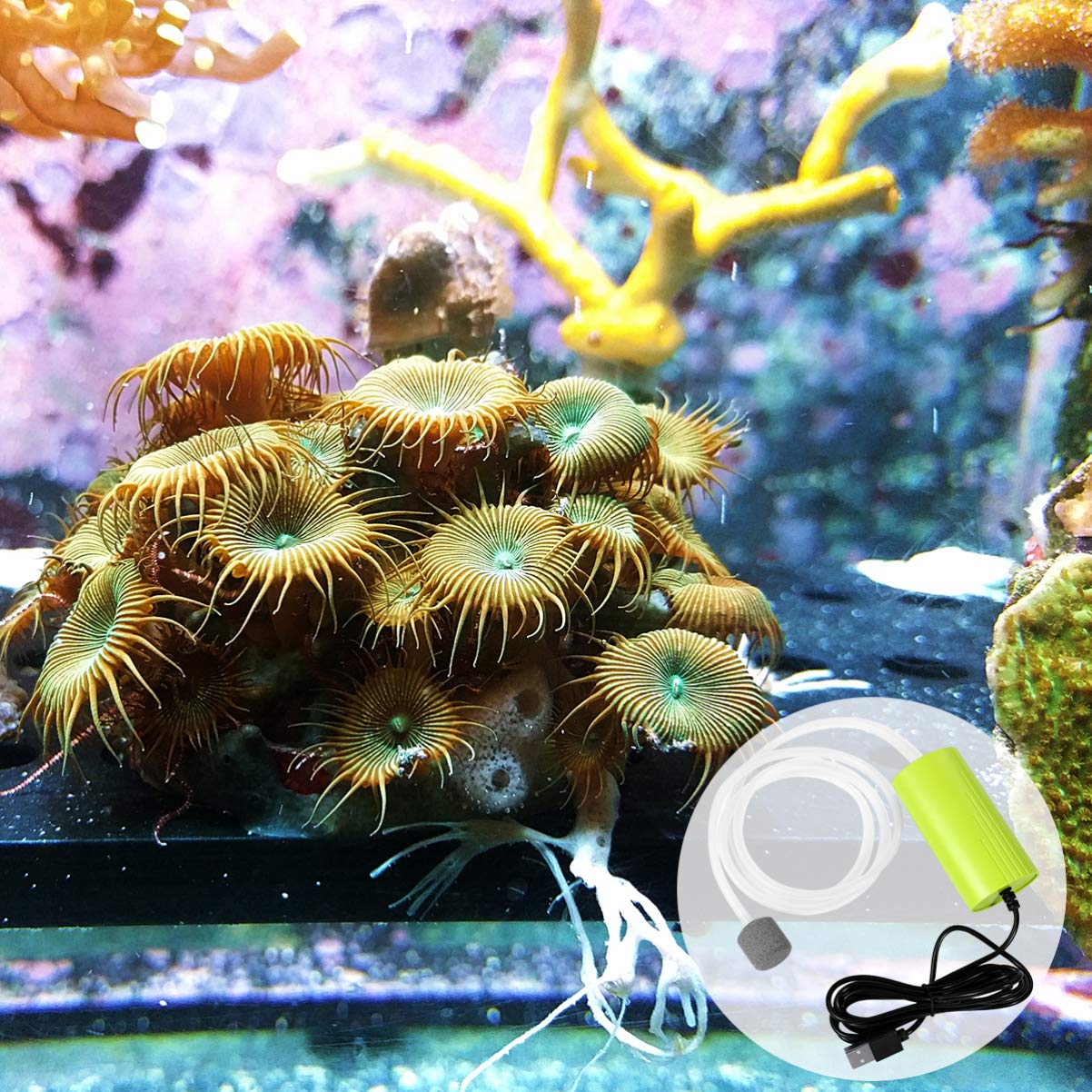 Happyyami 2piezas Mini Bomba De Aire USB Silenciosa para Acuarios Oxigenador Portátil De Agua para Transporte De Peces y Uso Cortes De Energía