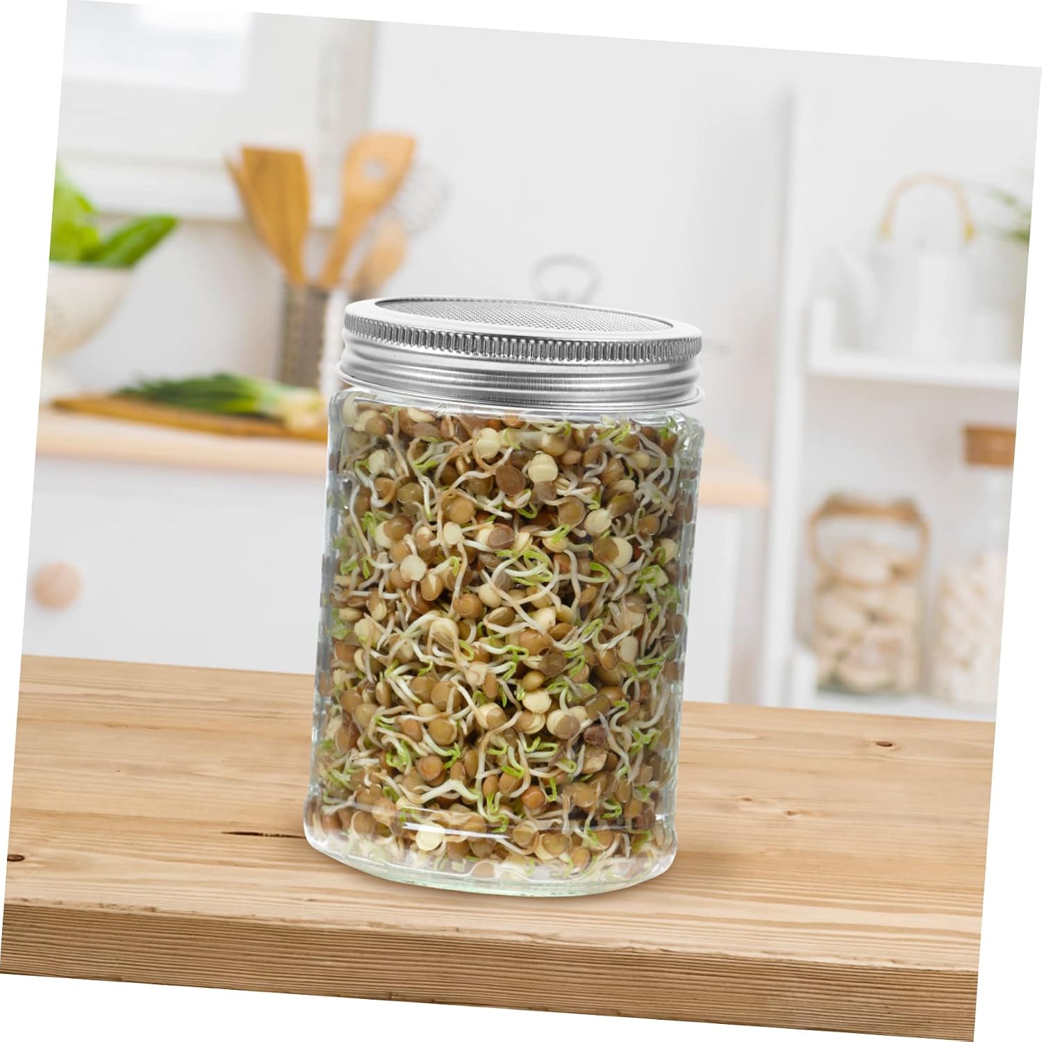 4pcs Jar Wide Mouth Lids Sprouting Lid Set Stainless Steel Mesh Cover for Sprouting Jars for Home Indoor Garden