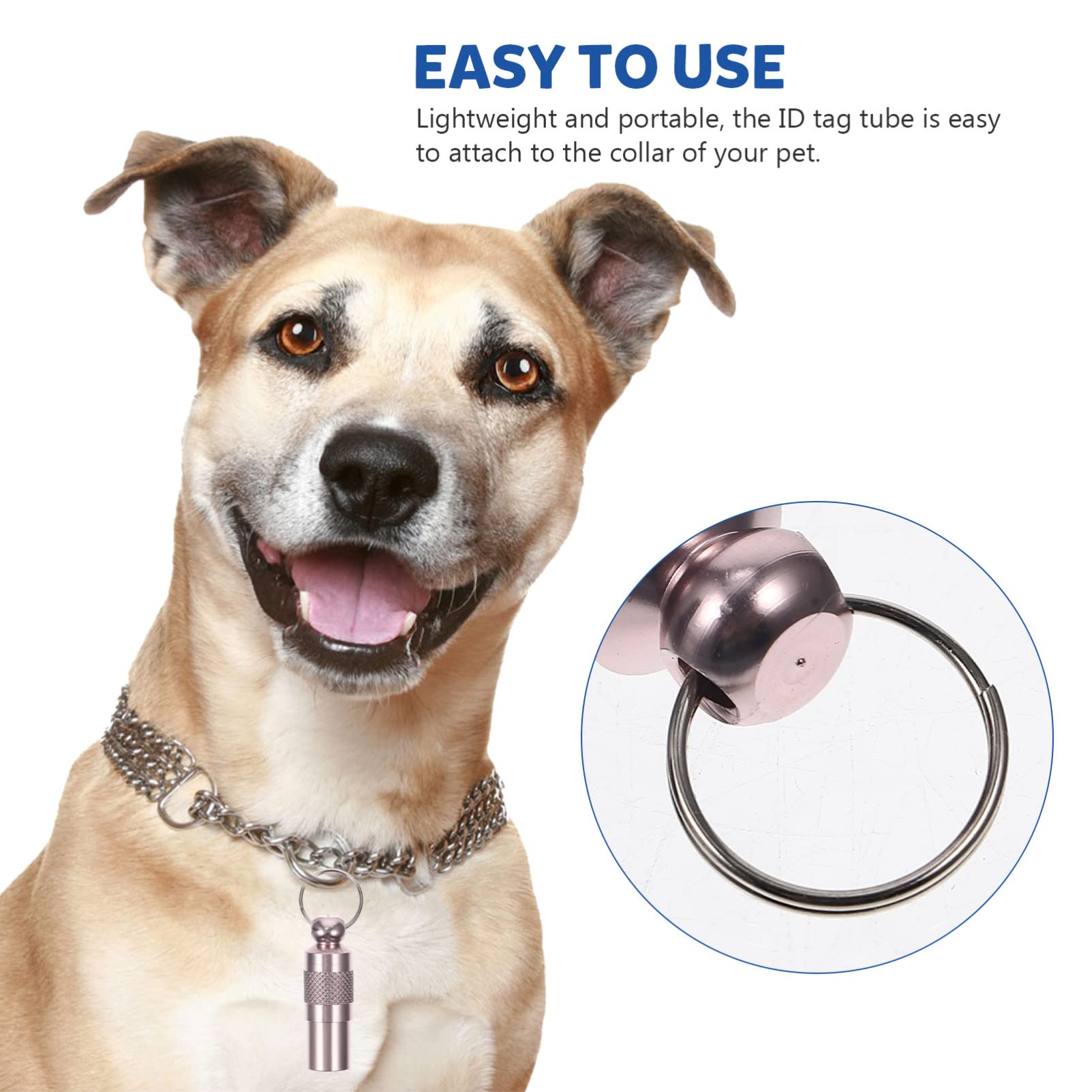 Didiseaon 4 Set di Targhette Identificative Personalizzate per Animali Domestici - Targhetta per Cani E Gatti Smarriti con E Indirizzo Collare Tubolare 6 Pezzi*4